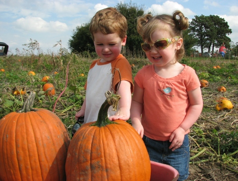 Thomas and Katie enjoy the pumpkin patch.